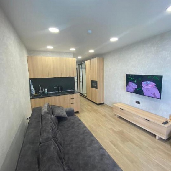 Квартира-студия, 25,1 кв.м.